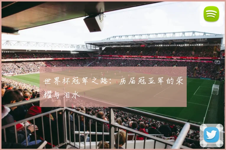 世界杯冠军之路：历届冠亚军的荣耀与泪水