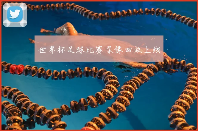 世界杯足球比赛录像回放上线