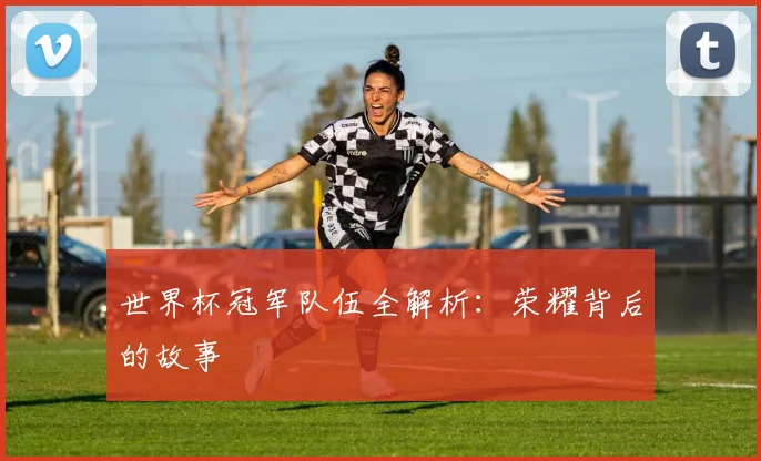 世界杯冠军队伍全解析：荣耀背后的故事