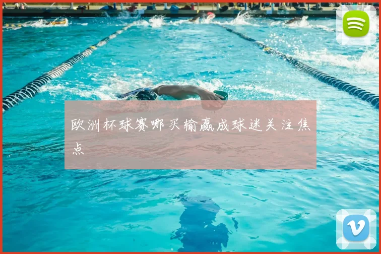 欧洲杯球赛哪买输赢成球迷关注焦点