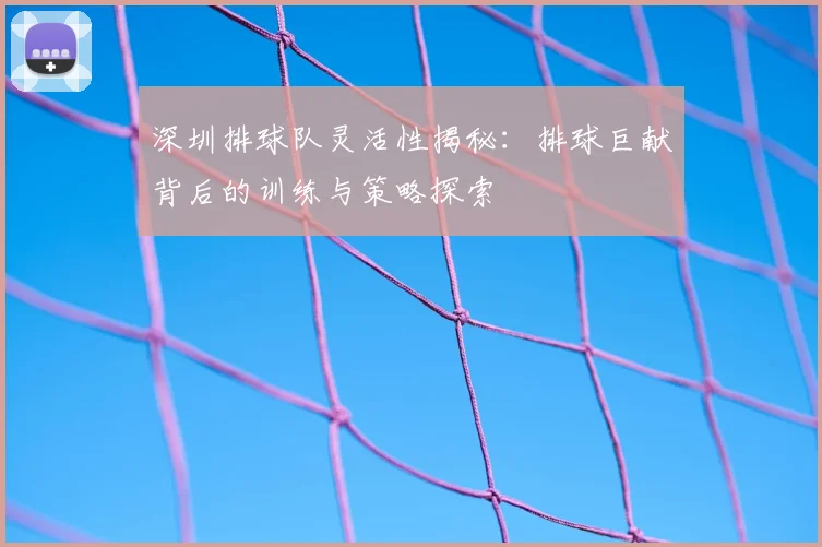 深圳排球队灵活性揭秘:排球巨献背后的训练与策略探索