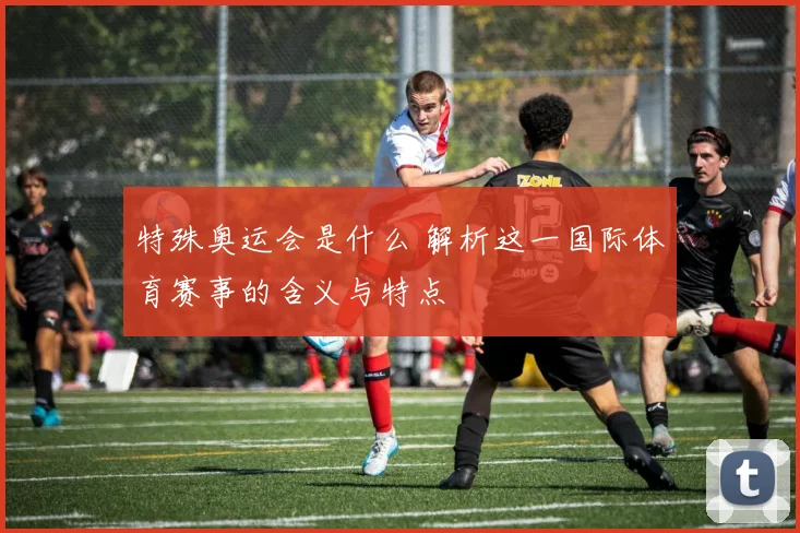特殊奥运会是什么 解析这一国际体育赛事的含义与特点