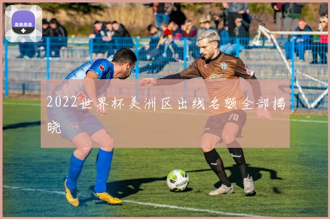 2022世界杯美洲区出线名额全部揭晓