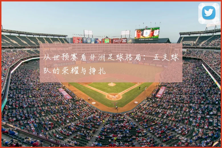 从世预赛看非洲足球格局:五支球队的荣耀与挣扎