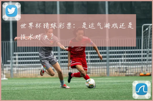 世界杯猜球彩票:是运气游戏还是技术对决?