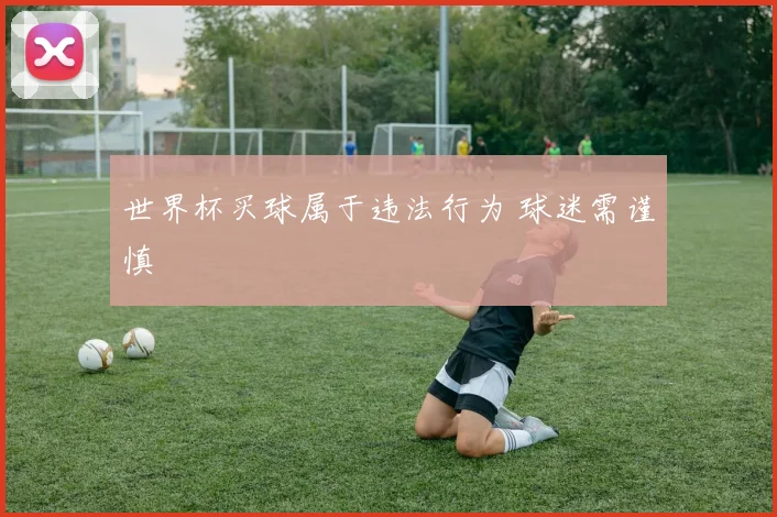 世界杯买球属于违法行为 球迷需谨慎